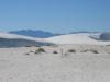 PICTURES/Roswell & White Sands/t_Alkali Flat Trail2.JPG